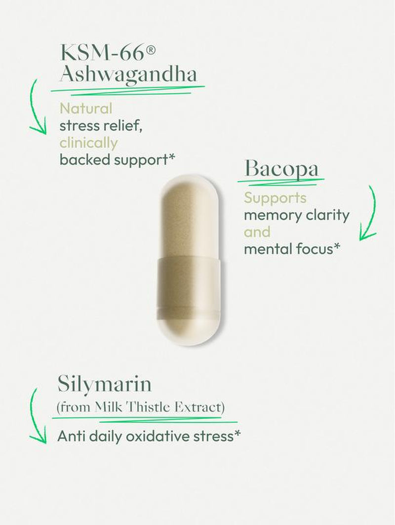 Upbe Ashwagandha & Bacopa for Stress, Focus & Hormonal Health –Energy Support for Men – PMS & Menopause Relief for Women – 60 Vegan Capsules